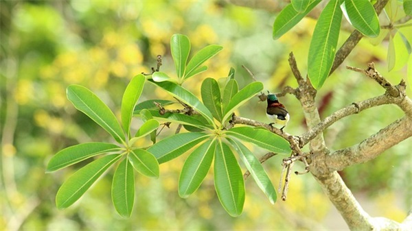 过百天祝福语 过百天祝福语简短