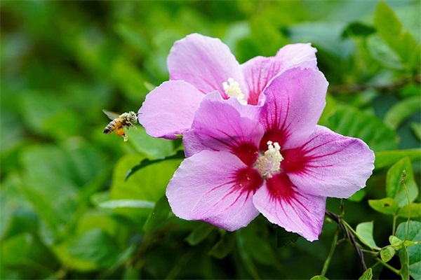 生小孩微信红包祝福语 生孩子微信红包祝福语