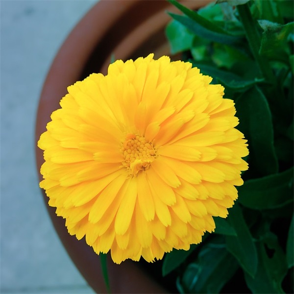 关于爱情的霸气句子