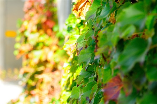 青春励志伤感的句子