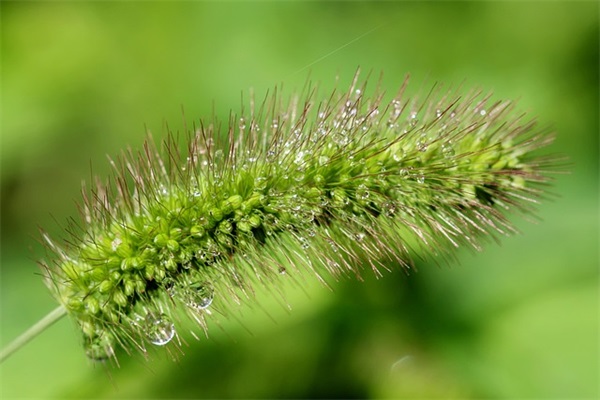 生完孩子报喜简单句子精选