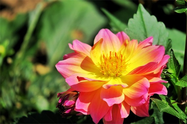 幽默而有道理的句子