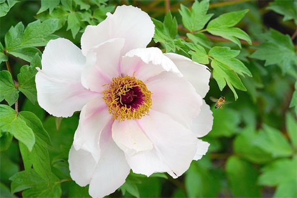 充满正能量的晚安心语 好心态晚安正能量句子