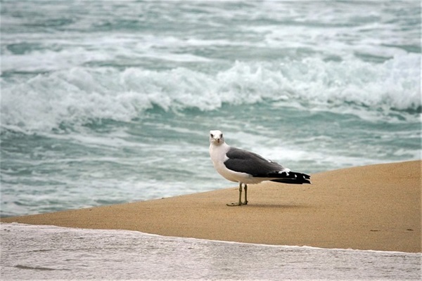 委屈了好想哭的句子