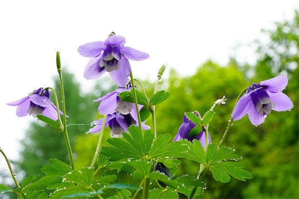 好听的句子 好听的短句子