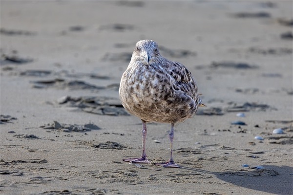 描写天空的句子 描写天空美景的句子