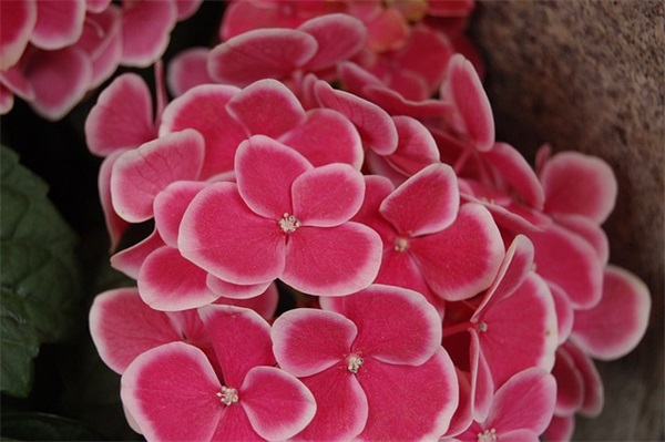 古风英语短句摘抄 英语短句子摘抄