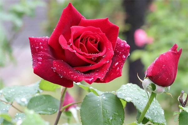 中二病必备句子精选