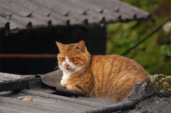 过去的一年里的感慨心情句子 过去一年的感慨