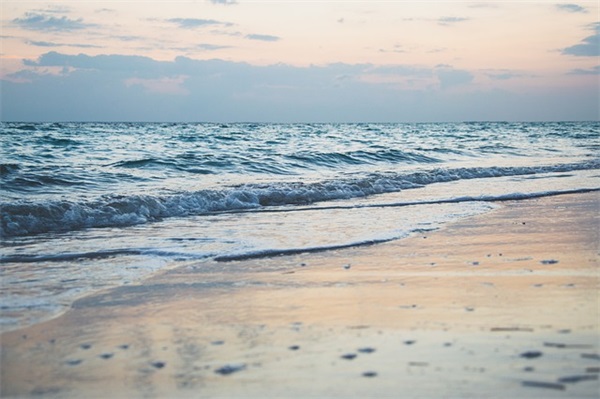 坚守自己的爱情的句子