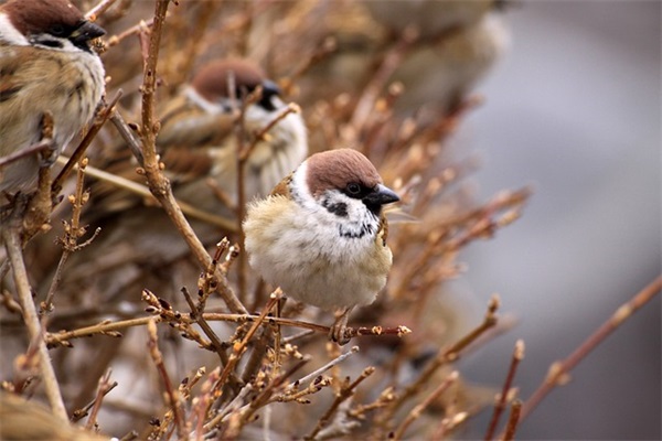 2026新中国成立71周年纪念主题风格十一国庆赞美祖国的祝福语句子(精选