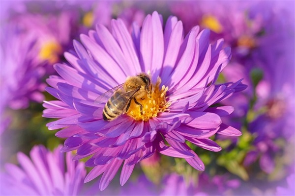 元旦祝福语简短创意