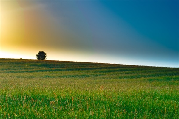 身边人的生日祝福语句