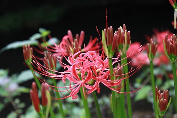 潮流新婚祝福语 潮流祝福语