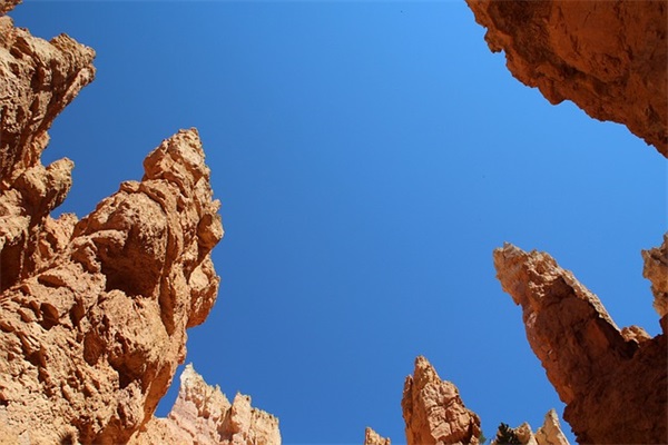 小学生2年级祝福语30句