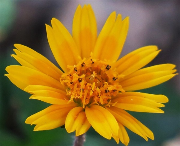 结婚祝福语大全八字107句