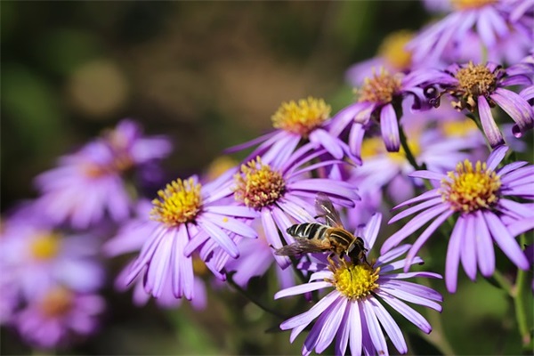 开展阳光体育的口号 阳光体育的口号