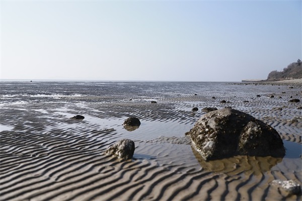 双11电商加班鼓舞士气口号标语