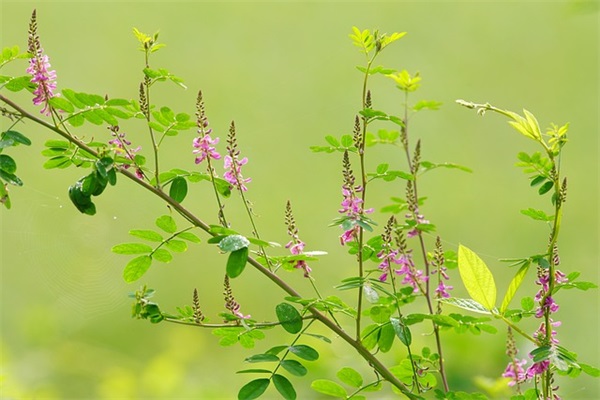 关于精英口号大全 关于销售的口号大全