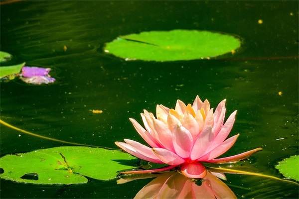 关于就业创业宣传口号 创业宣传口号