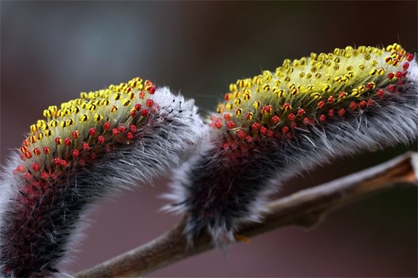 2026双十一霸气口号宣传标语