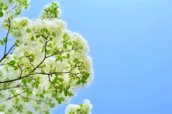 初中运动会口号8字74句