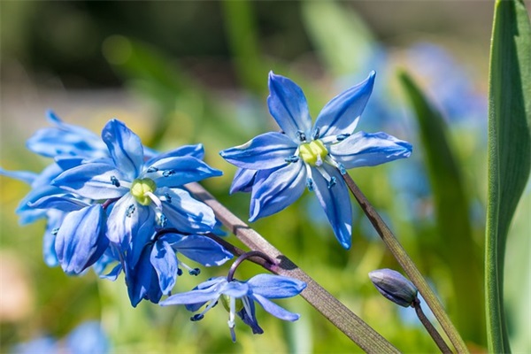电脑广告标语 电脑广告语