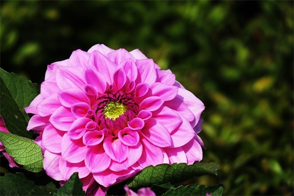 服装店口号大全集 服装口号大全