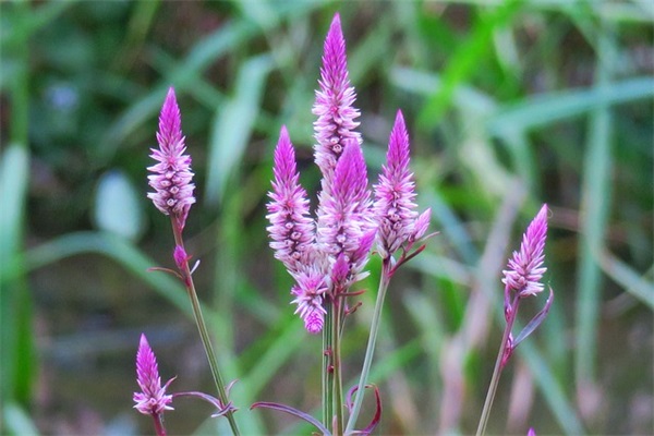 护士节主题标语