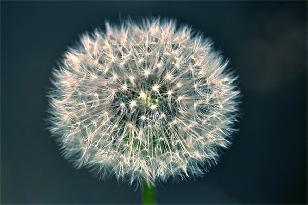 霸气挑战口号大全58句