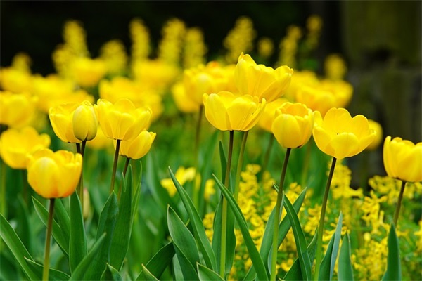 电商备战2026双十一霸气口号大全