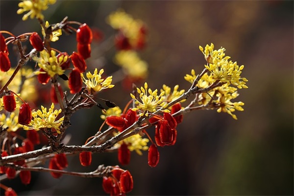 禁止停车的标语66句