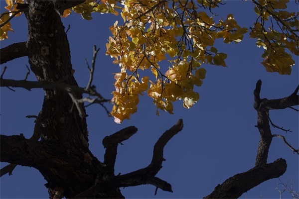 2026年用餐不浪费标语口号