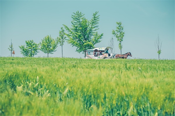 霸气的口号大全字87句