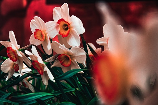 世界粮食日厉行节约反对浪费标语