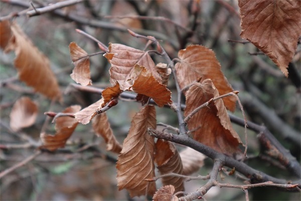 医院产房宣传标语76句