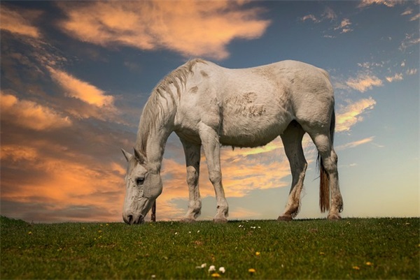 大班运动会口号大全64句