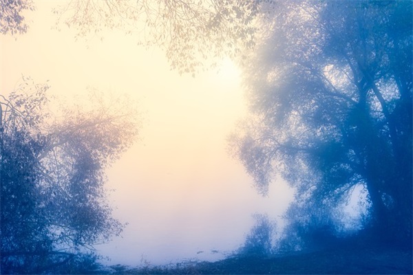 中国人寿2026年开门红口号霸气(虎年开门红口号霸气押韵)