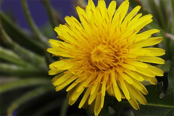 酒企业文化标语口号70句