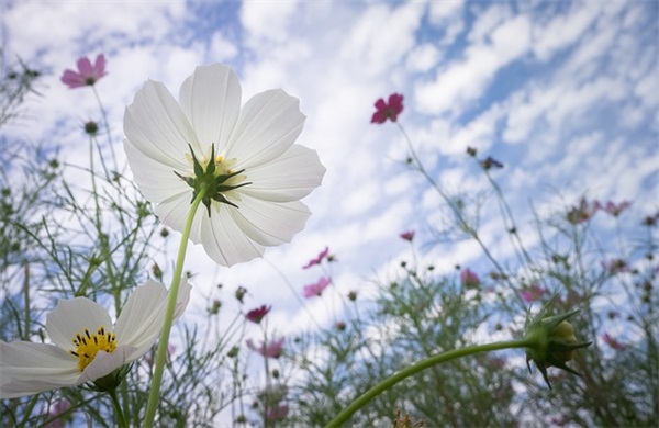 中小学生世界爱眼日活动宣传口号标语