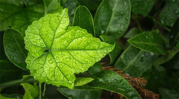 打击非法集资宣传口号50句