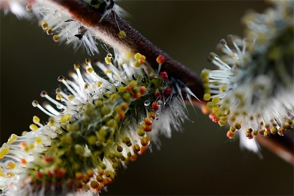 电器产品销售口号81句