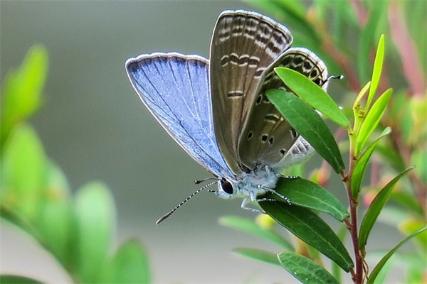 端午节的标语66句