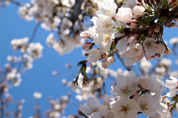 二次创业队名口号 二次创业口号标语