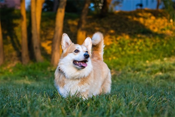 企业年底的标语78句
