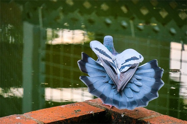 三月学习雷锋宣传横幅标语精选