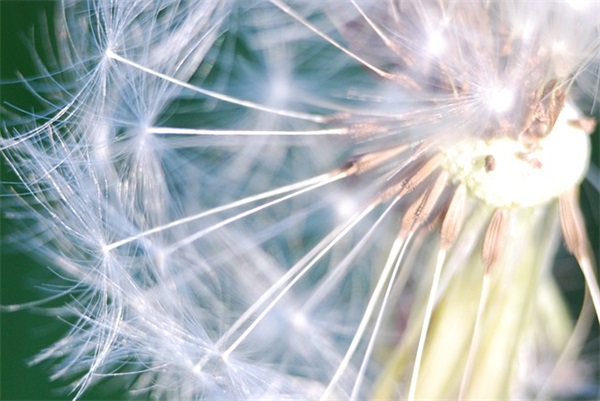 队列会操口号例子 队列体操口号