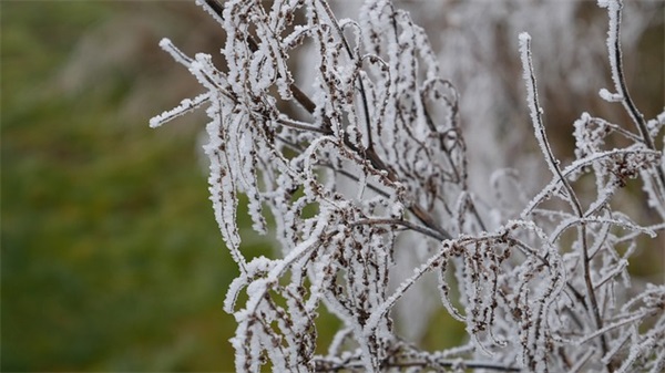 广告标语有哪些 广告店标语吸引人