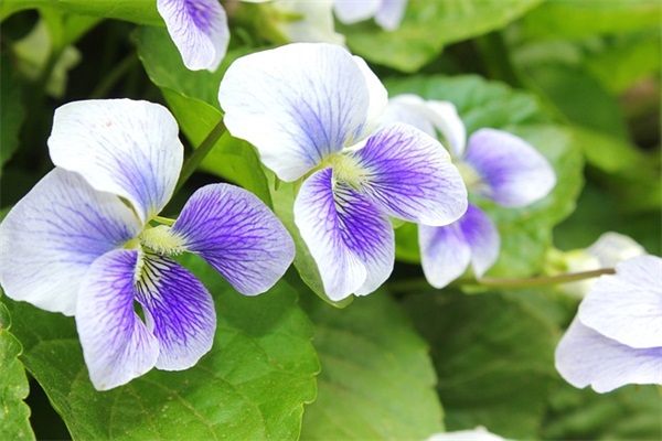 关于健身减肥励志的句子