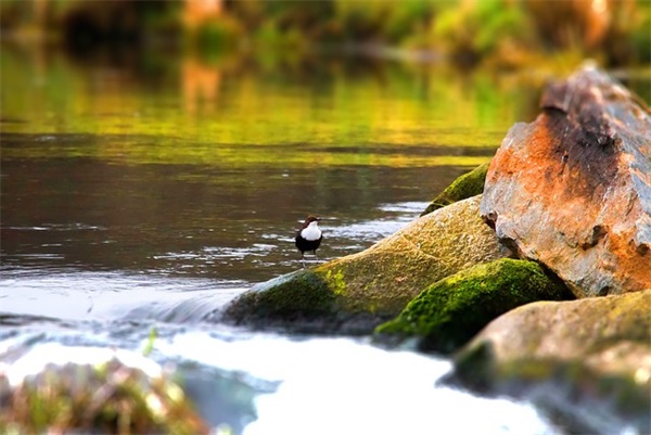 玉龙雪山简短文艺句子